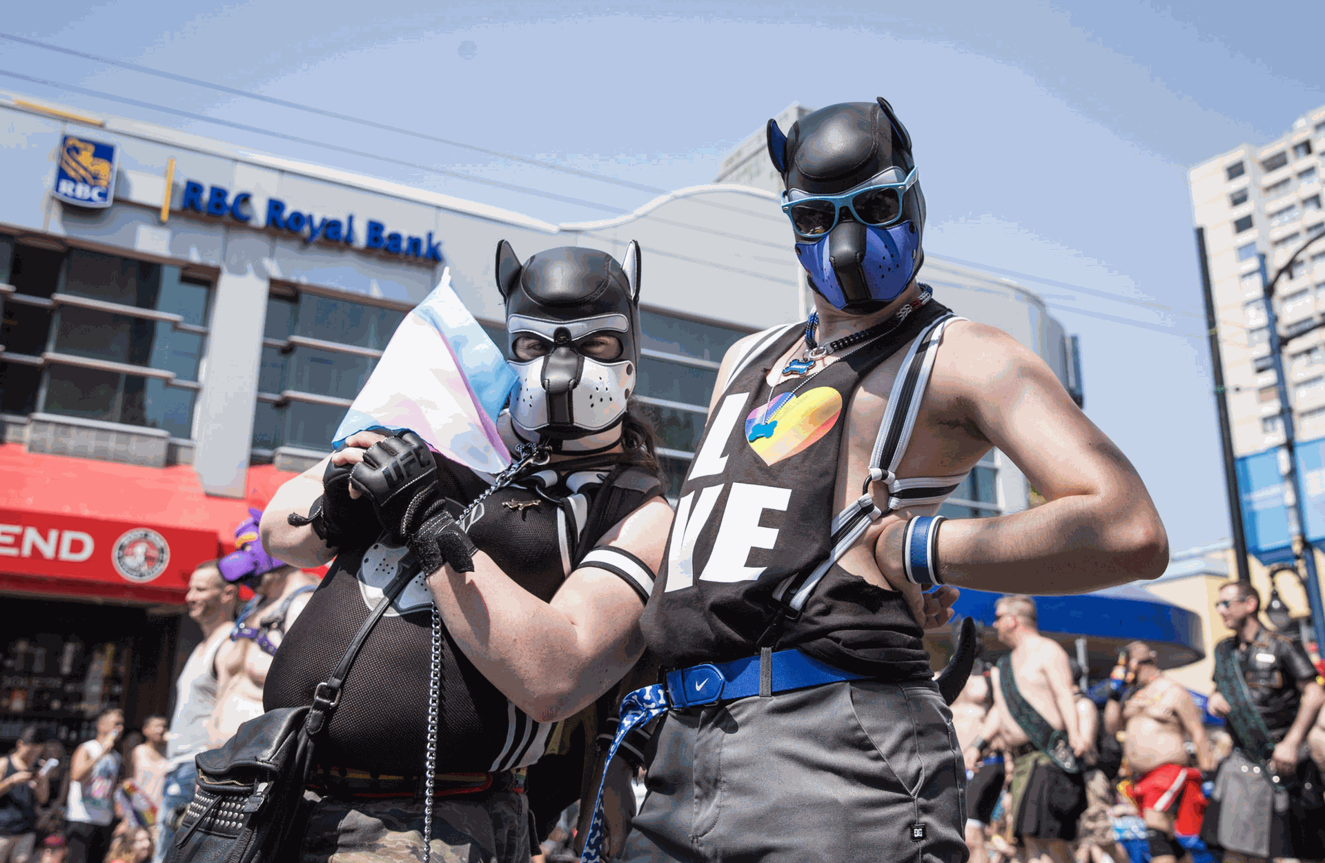 Hai người mang mặc nạ chó cầm cờ chuyển giới đang trong diễu hành tự hào