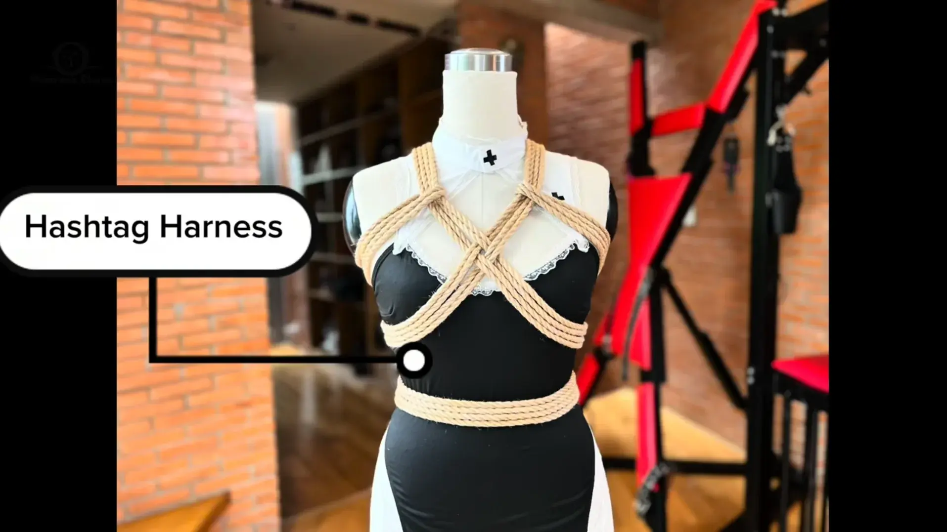 Hashtag Harness Hashtag Harness